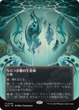 全商品 - カードラッシュ[MTG] (Page 75)