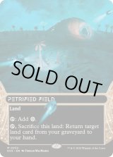 EX+](FOIL)(フルアート)(0032)石化した原野/Petrified Field《英語