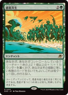 MTG 魂の洞窟 エクスペディション日本語版 MTG, マジック:ザ・ギャザリング 通販 | ENNDAL GAMES / (LCI-ML