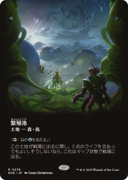 画像1: (フルアート)繁殖池/Breeding Pool《日本語》【EOE】 (1)