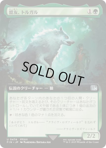 画像1: (FOIL)(フルアート)(0474)盟友、トルガル/Torgal, A Fine Hound《日本語》【FIN】 (1)
