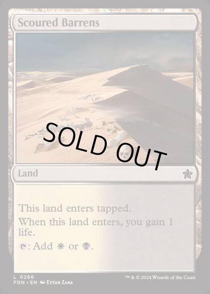 画像1: 磨かれたやせ地/Scoured Barrens《英語》【FDN】 (1)