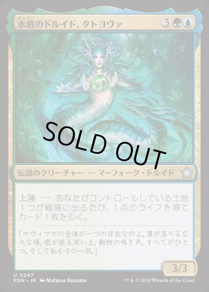 画像1: [EX+](FOIL)水底のドルイド、タトヨヴァ/Tatyova, Benthic Druid《日本語》【FDN】 (1)