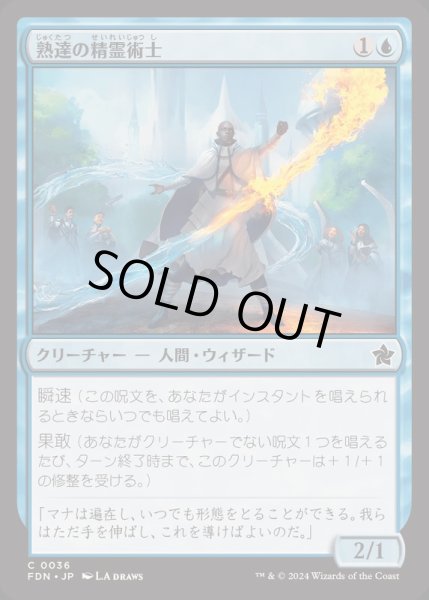 画像1: [EX+]熟達の精霊術士/Elementalist Adept《日本語》【FDN】 (1)
