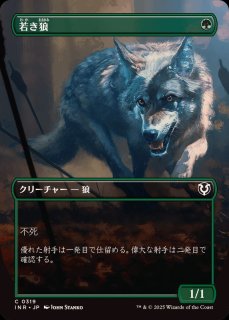 日)嵐の目、ウギン / Ugin, Eye of the Storms ☆ボーダーレス