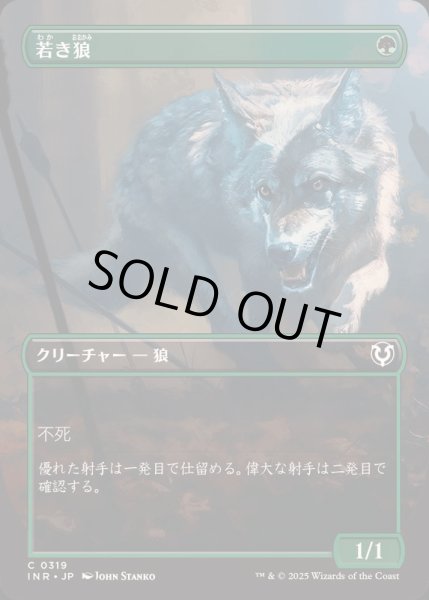 画像1: [EX+](フルアート)若き狼/Young Wolf《日本語》【INR】 (1)