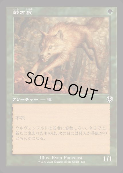 画像1: [EX+](FOIL)(旧枠仕様)若き狼/Young Wolf《日本語》【INR】 (1)
