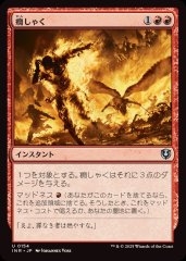 MTG ドルイドの誓い(EXO) 日本語版4枚セット ドルイドの誓い [EXO] 【BIGWEB | MTG】日本最大級の激安カード