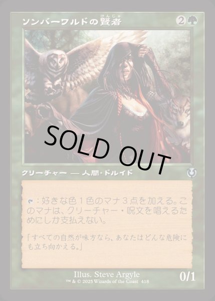 画像1: [EX+](FOIL)(旧枠仕様)ソンバーワルドの賢者/Somberwald Sage《日本語》【INR】 (1)