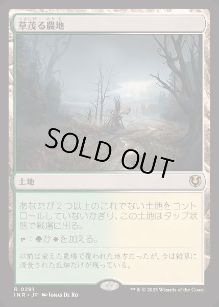 画像1: (FOIL)草茂る農地/Overgrown Farmland《日本語》【INR】 (1)