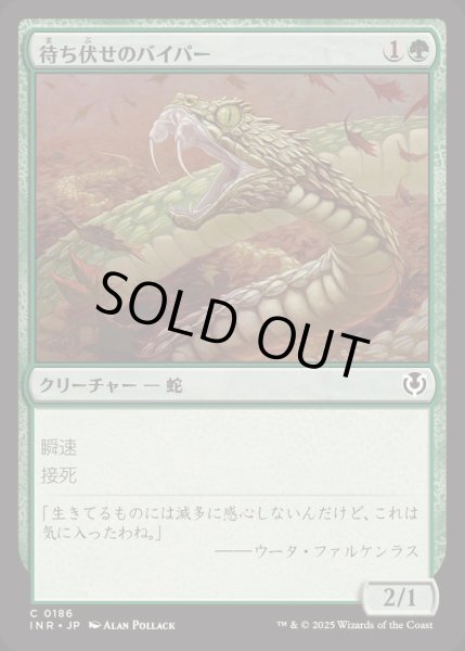 画像1: [EX+](FOIL)待ち伏せのバイパー/Ambush Viper《日本語》【INR】 (1)