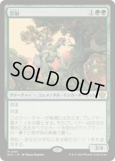 忍耐/Endurance - カードラッシュ[MTG]