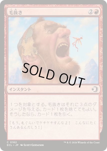 画像1: 毛抜き/Tweeze《日本語》【ECL】 (1)