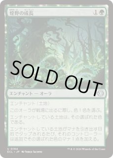 FOIL)煌野の成長/Shimmerwilds Growth《日本語》【ECL】