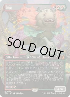 鮮麗 - カードラッシュ[MTG]