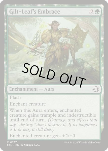 画像1: [EX+](FOIL)光り葉の抱擁/Gilt-Leaf's Embrace《英語》【ECL】 (1)