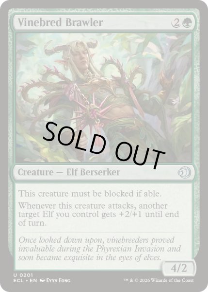 画像1: [EX+](FOIL)ツタ育ての喧嘩屋/Vinebred Brawler《英語》【ECL】 (1)
