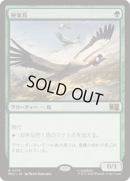 画像1: (サージFOIL)極楽鳥/Birds of Paradise《日本語》【MSC】 (1)