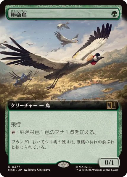 画像1: [EX+](フルアート)極楽鳥/Birds of Paradise《日本語》【MSC】 (1)