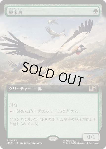 画像1: (FOIL)(フルアート)極楽鳥/Birds of Paradise《日本語》【MSC】 (1)