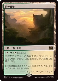 PLD]合同勝利/Coalition Victory《日本語》【INV】