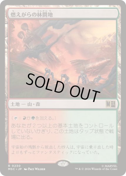 画像1: (サージFOIL)燃えがらの林間地/Cinder Glade《日本語》【MSC】 (1)