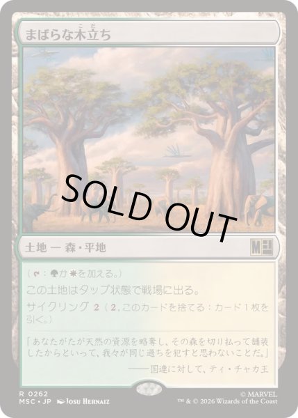 画像1: [EX+](サージFOIL)まばらな木立ち/Scattered Groves《日本語》【MSC】 (1)
