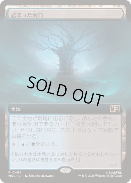 画像1: (FOIL)(フルアート)詰まった河口/Choked Estuary《日本語》【MSC】 (1)
