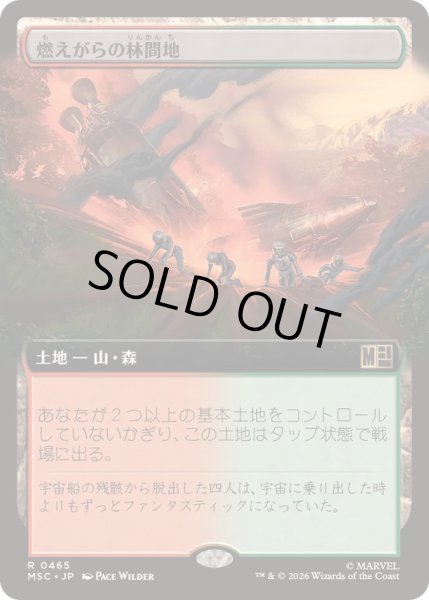 画像1: [EX+](フルアート)燃えがらの林間地/Cinder Glade《日本語》【MSC】 (1)