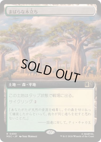 画像1: (FOIL)(フルアート)まばらな木立ち/Scattered Groves《日本語》【MSC】 (1)