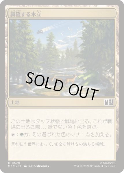 画像1: (FOIL)興隆する木立/Thriving Grove《日本語》【MSC】 (1)