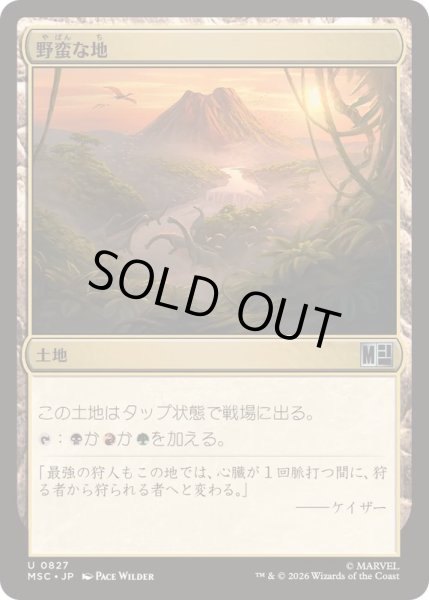 画像1: (FOIL)野蛮な地/Savage Lands《日本語》【MSC】 (1)