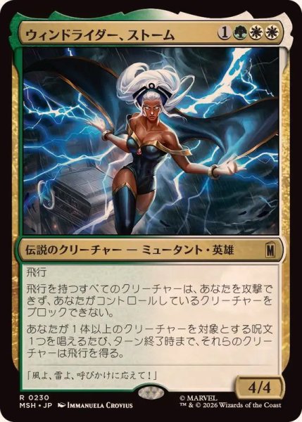 画像1: ウィンドライダー、ストーム/Storm, Windrider《日本語》【MSH】 (1)