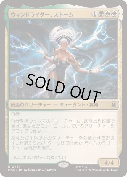 画像1: (FOIL)ウィンドライダー、ストーム/Storm, Windrider《日本語》【MSH】 (1)