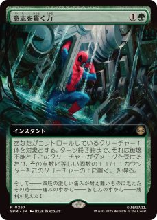 輝かしい聖戦士、エーデリン/Adeline, Resplendent Cathar《日本