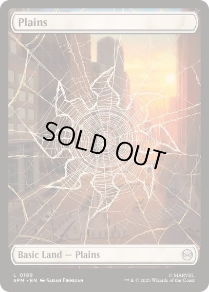 画像1: [EX+](フルアート)平地/Plains《英語》【SPM】 (1)