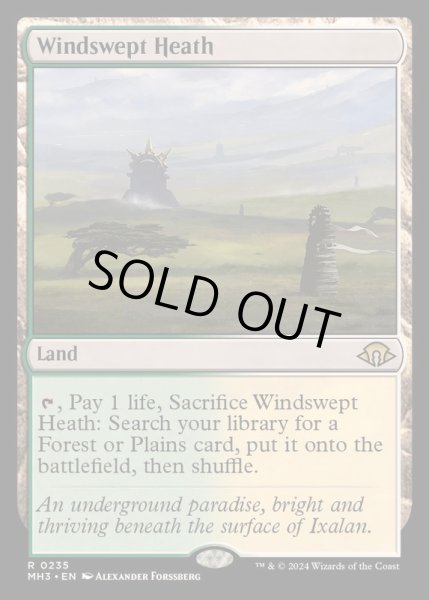 画像1: [EX+](FOIL)吹きさらしの荒野/Windswept Heath《英語》【MH3】 (1)