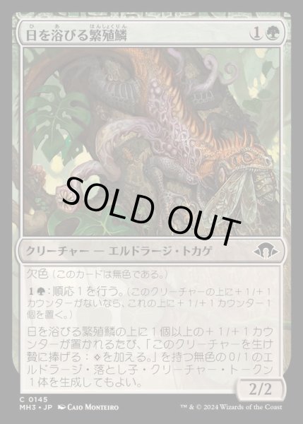画像1: [EX+](FOIL)日を浴びる繁殖鱗/Basking Broodscale《日本語》【MH3】 (1)