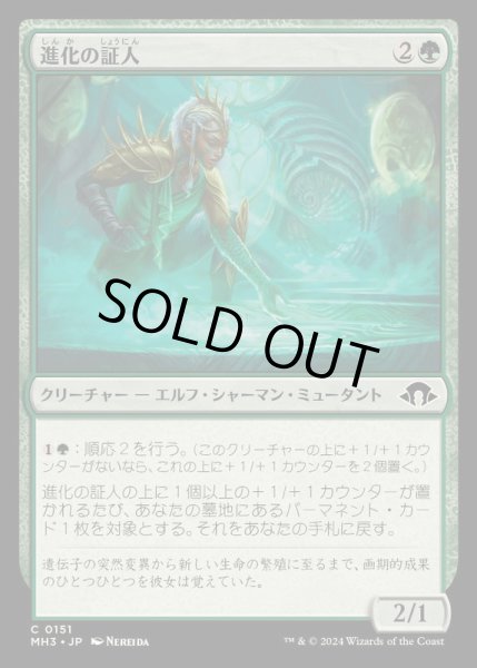 画像1: [EX+](FOIL)進化の証人/Evolution Witness《日本語》【MH3】 (1)