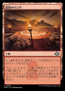 MTG 濁浪の執政 日本語版4枚 トレーディングカード