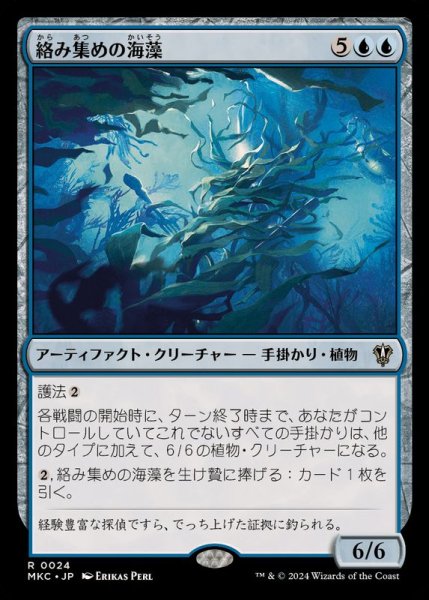 画像1: 絡み集めの海藻/Tangletrove Kelp《日本語》【MKC】 (1)