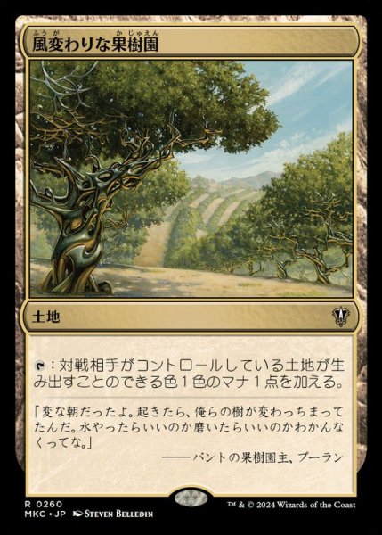 画像1: 風変わりな果樹園/Exotic Orchard《日本語》【MKC】 (1)