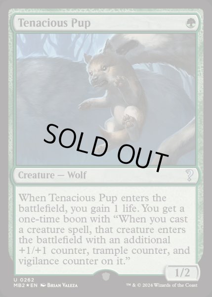 画像1: [EX+](FOIL)執拗な仔狼/Tenacious Pup《英語》【Reprint Cards(Mystery Booster2)】 (1)