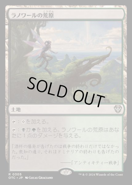 画像1: [EX+]ラノワールの荒原/Llanowar Wastes《日本語》【OTC】 (1)