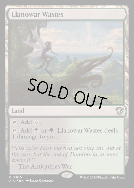 画像1: [EX+]ラノワールの荒原/Llanowar Wastes《英語》【OTC】 (1)