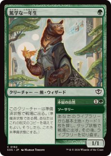 MTG 豊かな在郷　2枚 フルアート)豊かな在郷/Abundant Countryside《日本語》【ECC】