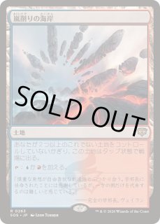 FOIL)嵐削りの海岸/Stormcarved Coast《日本語》【SOS】
