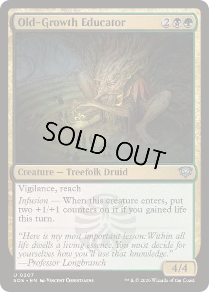 画像1: [EX+](FOIL)古株の教育者/Old-Growth Educator《英語》【SOS】 (1)
