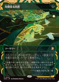 FOIL)(アーカイブ)垣間見る自然/Glimpse of Nature《日本語》【SOA】