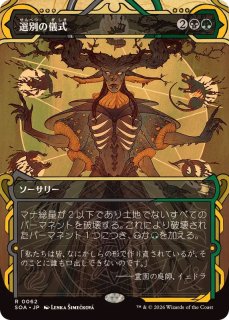 MTG FF 選別の儀式 Culling Ritual/プロモfoil FOIL)(アーカイブ)選別の儀式/Culling Ritual《日本語》【SOA】